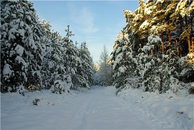 美国12月销量榜：PC最热游戏《致命公司》